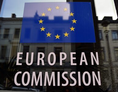 Miniatura: Komisja Europejska podjęła decyzję....
