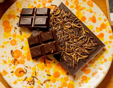 Miniatura: W Europie powstaje największa na świecie...