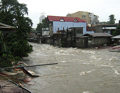 Miniatura: Filipiny: 20 ofiar śmiertelnych burzy...