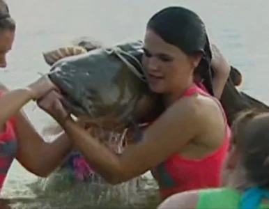 Miniatura: Cheerleaderka łowi sumy. Gołymi rękoma