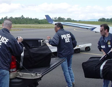 Miniatura: Polska odzyska zrabowany obraz? Na trop...