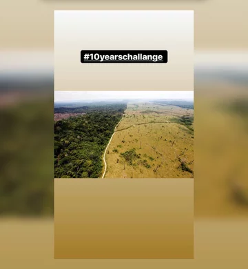 Odpowiedź ekologów na „10 years challenge” 