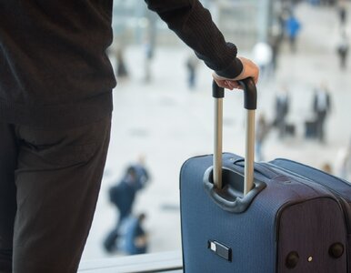 Miniatura: Szykuje się szturm turystów. AI wskazała...