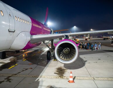 Miniatura: Mróz na lotnisku w Modlinie. Nietypowy...