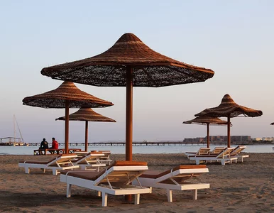 Miniatura: 2-latka w kurorcie w Egipcie niemal...