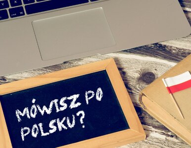 Miniatura: Prosty QUIZ z języka polskiego. Jeśli nie...
