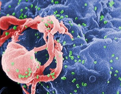 Miniatura: Człowiek, który nie mógł zarazić się HIV...