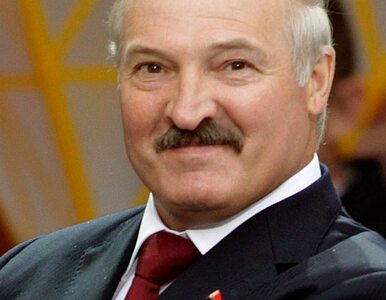 Miniatura: Łukaszenka: zapłaćcie, a będziemy wyławiać...