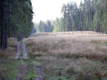 Grzbiety wielkoskalowych form dennych (megadiun) na&nbsp;południe od&nbsp;Suwałk, prostopadłe do&nbsp;kierunku przepływu Suwalskiej Megapowodzi Lodowcowej (przepływ w&oacute;d zgodny z&nbsp;kierunkiem patrzenia)