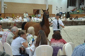 Fot. A. Jagielak/ Wprost