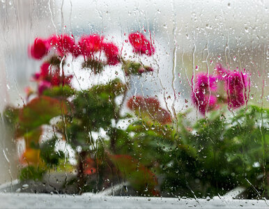 Miniatura: Nie zostawiaj tego na ostatnią chwilę....