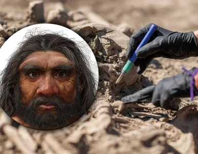 Miniatura: Czaszka, która zmienia historię człowieka....