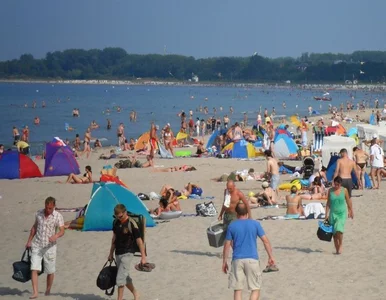 Miniatura: Będzie nowy bon turystyczny? Minister...