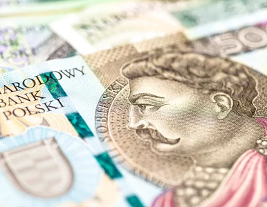 Miniatura: 500+ do zmiany, wyższe podatki dla...