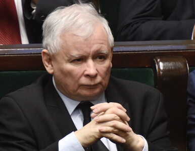 Miniatura: Kaczyński: Chcemy maszerować w stronę...
