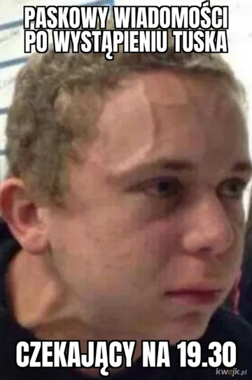 Memy po powrocie Donalda Tuska 