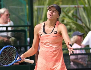 Miniatura: Krecz Polki tuż przed Wimbledonem! Musiała...