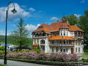 Miniatura: Perełka Dolnego Śląska z rabatami. To...