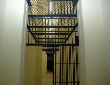 Miniatura: Marcin P. odmówił składania wyjaśnień....