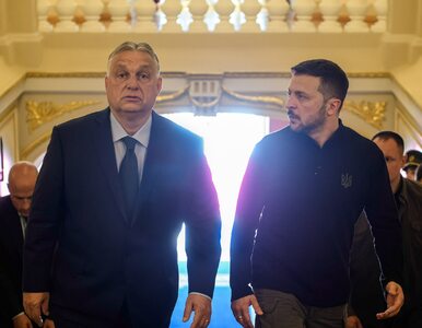 Miniatura: Orban przedstawił propozycję Zełenskiemu....