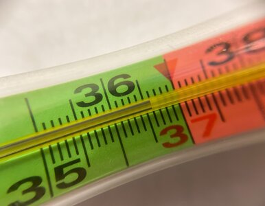 Miniatura: 36,6 stopni Celsjusza to przeszłość....