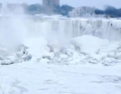 Miniatura: Mrozy w USA. Wodospad Niagara... zamarzł