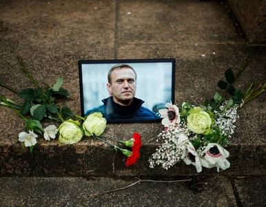 Miniatura: To nagranie z rozprawy Nawalnego daje do...