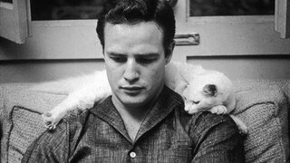 &bdquo;Marlon Brando o&nbsp;sobie&rdquo; / &bdquo;Listen to&nbsp;Me Marlon&rdquo; (2015)