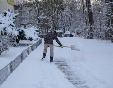 Miniatura: Zima paraliżuje Polskę! Setki zgłoszeń,...