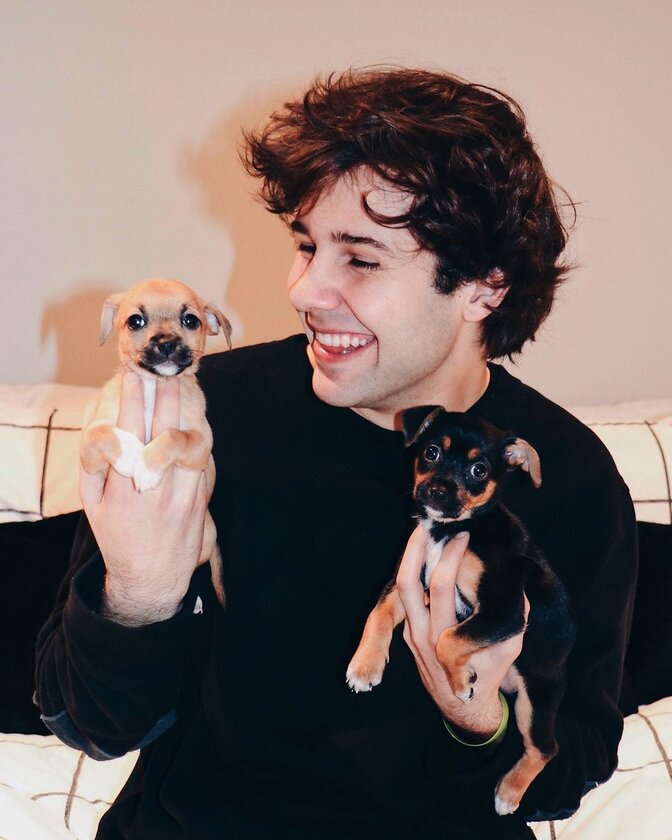 David Dobrik 