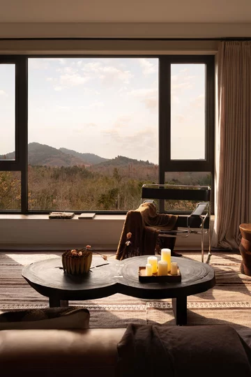 Wnętrza w kolorach ziemi, projekt Zoom Design Azja, Zoom Design, natura