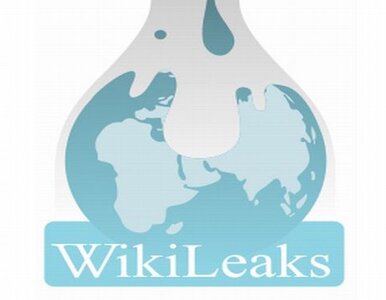 Miniatura: Afera WikiLeaks: Manning przyznał się do winy