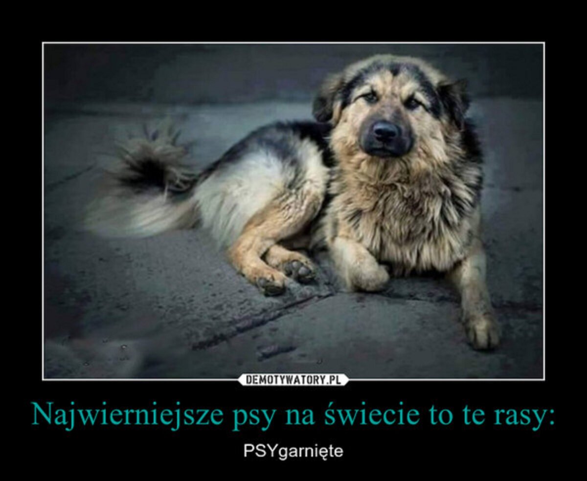 https://img.wprost.pl/_thumb/60/42/b3fe423f46e2b73a979ac7250156.jpeg