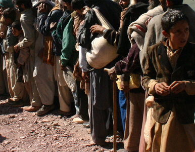 Miniatura: Talibowie mordują przed wyborami