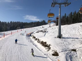 Miniatura: Pierwsza taka sytuacja od lat. 19 ośrodków...