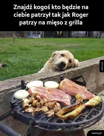 Dzień wolny? Internauci odpowiadają memami 