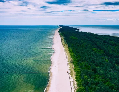 Miniatura: Polska plaża doceniona za granicą. „Raj na...