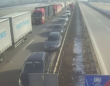 Miniatura: Groźny wypadek na autostradzie A4 pod...