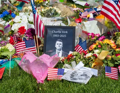 Miniatura: Kim jest „redditowy dzieciak”? I jaki...