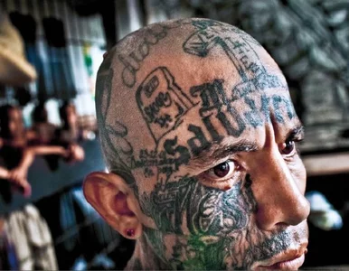 Miniatura: Dla gangu się umiera