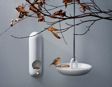 Miniatura: Najlepszy prezent na zimę? Ten nie ma...