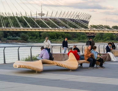 Miniatura: Stanęły nad Wisłą i zachęcają do zabawy....