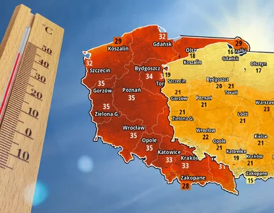Miniatura: Lato zahamuje z piskiem opon. Temperatura...