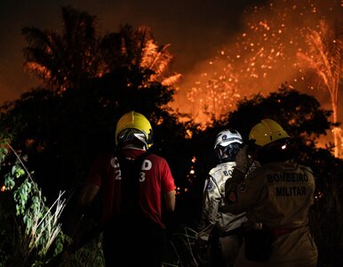Miniatura: Pożary w kraju uwielbianym przez Polaków....
