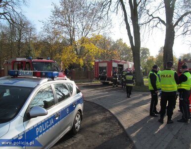 Miniatura: Fałszywy alarm bombowy. Nastolatek...