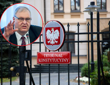 Miniatura: Polacy o TK. Wymowne wyniki sondażu....