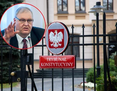 Miniatura: Polacy o TK. Wymowne wyniki sondażu....