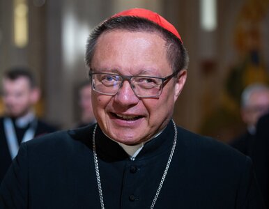 Miniatura: Kard. Ryś stanął w obronie Ukraińców....