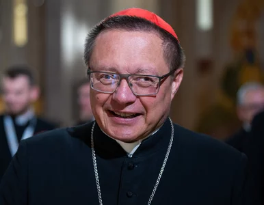 Miniatura: Kard. Ryś stanął w obronie Ukraińców....