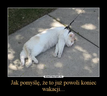 Zbliża się koniec wakacji. Internauci tworzą memy 